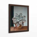 Suculenta en macetita | Cuadro decorativo de Canvas Lab