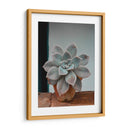 Suculenta en macetita | Cuadro decorativo de Canvas Lab