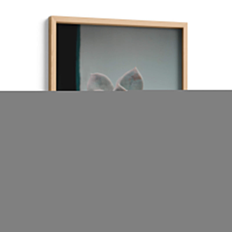 Suculenta en macetita | Cuadro decorativo de Canvas Lab