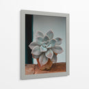 Suculenta en macetita | Cuadro decorativo de Canvas Lab