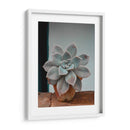 Suculenta en macetita | Cuadro decorativo de Canvas Lab