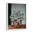 Suculenta en macetita | Cuadro decorativo de Canvas Lab