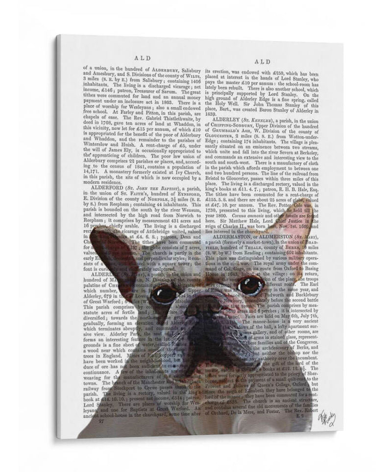 Llano Bulldog Francés Blanco - Fab Funky | Cuadro decorativo de Canvas Lab