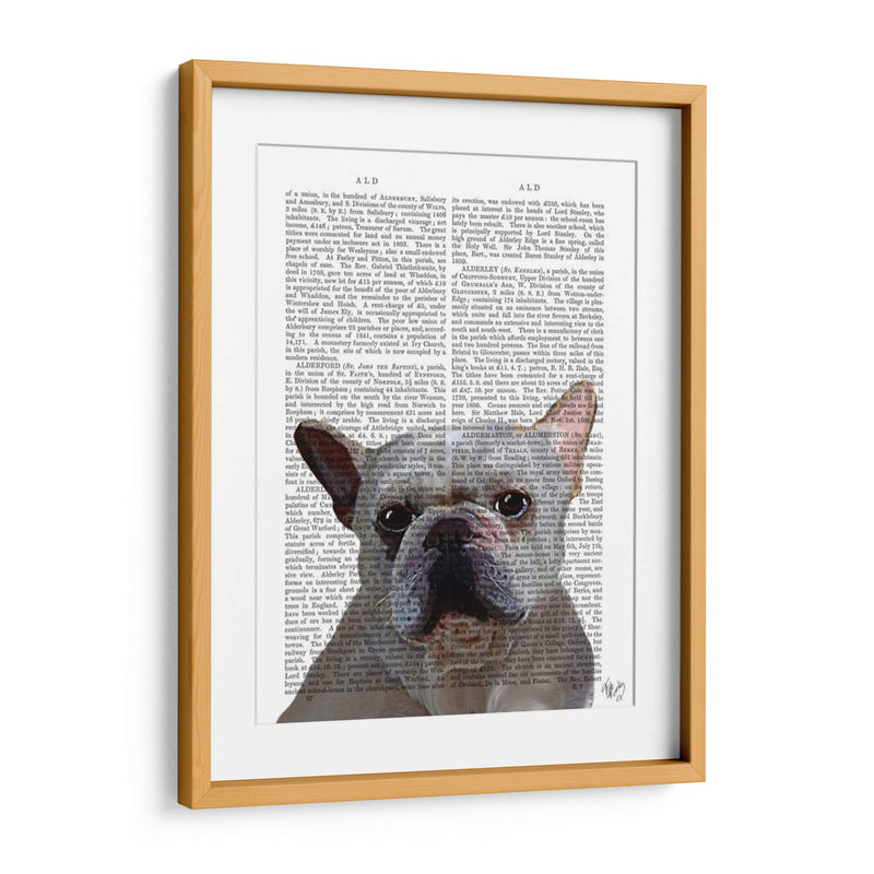 Llano Bulldog Francés Blanco - Fab Funky | Cuadro decorativo de Canvas Lab