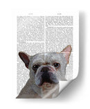 Llano Bulldog Francés Blanco - Fab Funky | Cuadro decorativo de Canvas Lab