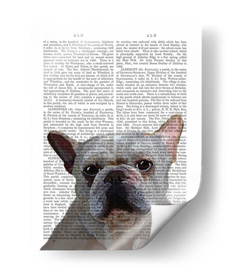 Llano Bulldog Francés Blanco - Fab Funky | Cuadro decorativo de Canvas Lab