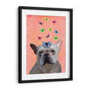 Bulldog Francés Blanco Y Mariposas - Fab Funky | Cuadro decorativo de Canvas Lab