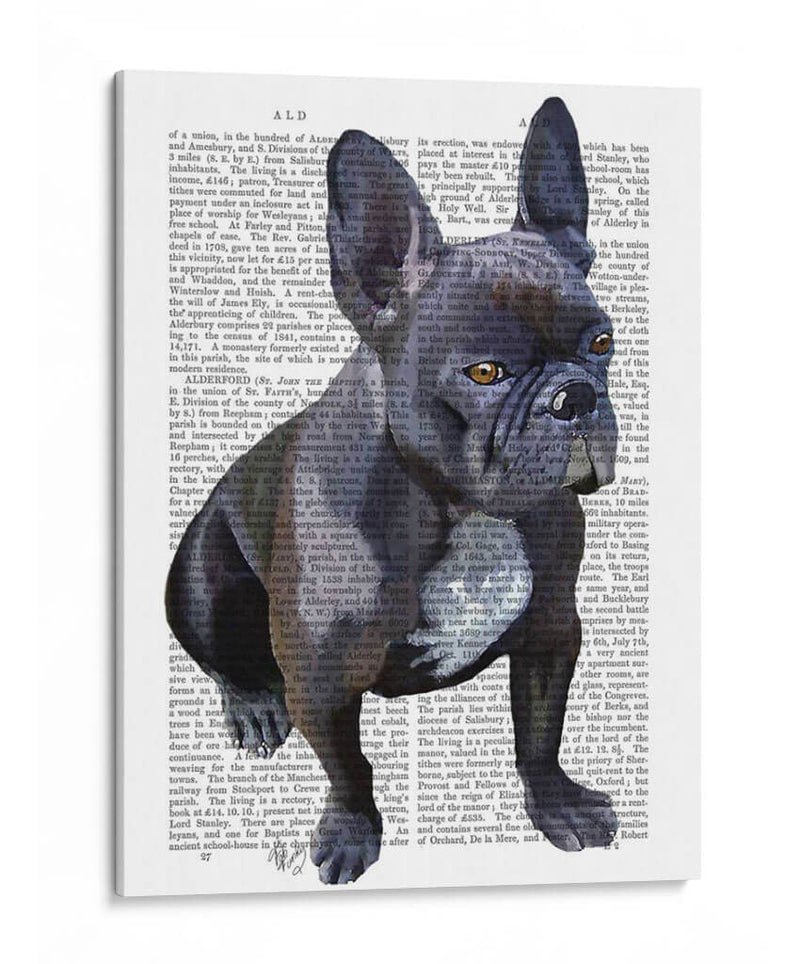 Llanura De Bulldog Francés - Fab Funky | Cuadro decorativo de Canvas Lab