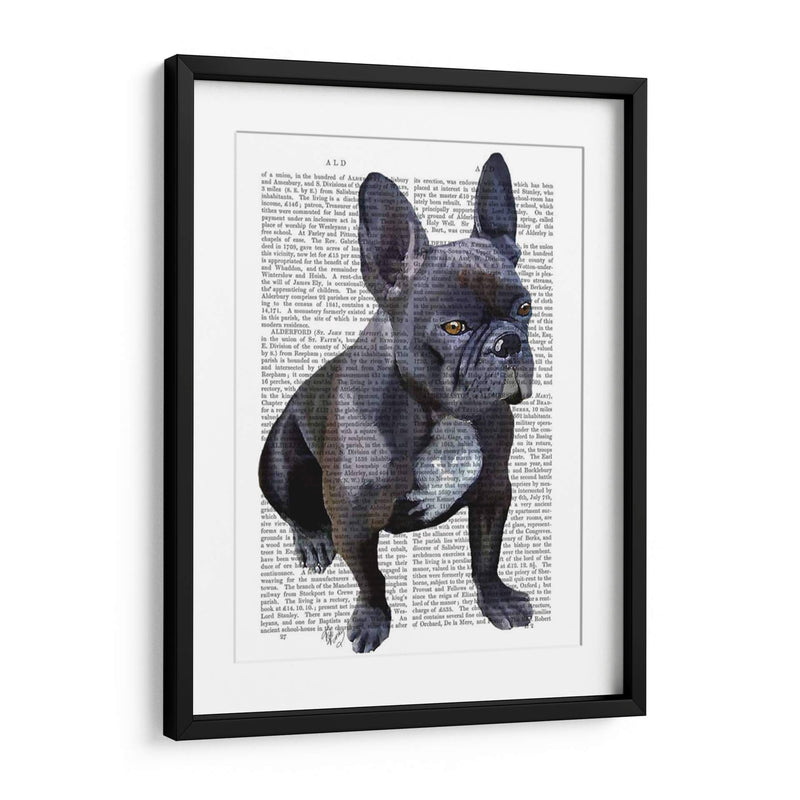 Llanura De Bulldog Francés - Fab Funky | Cuadro decorativo de Canvas Lab