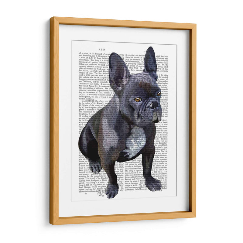 Llanura De Bulldog Francés - Fab Funky | Cuadro decorativo de Canvas Lab