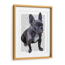 Llanura De Bulldog Francés - Fab Funky | Cuadro decorativo de Canvas Lab