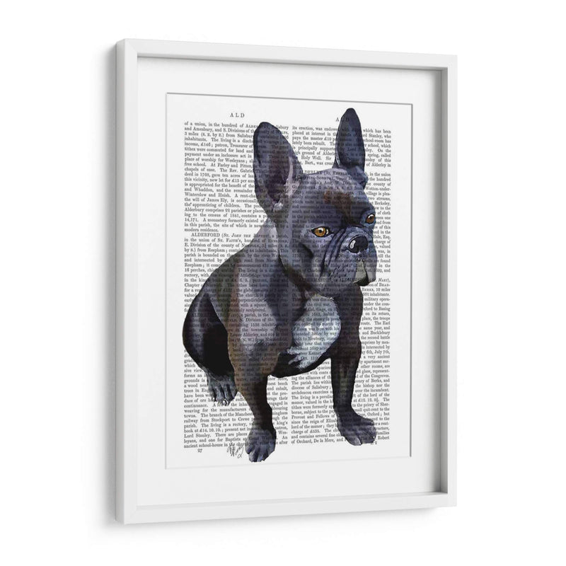 Llanura De Bulldog Francés - Fab Funky | Cuadro decorativo de Canvas Lab