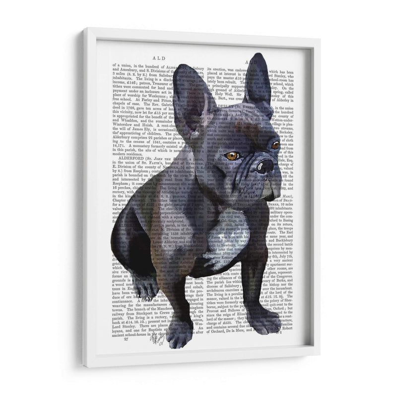 Llanura De Bulldog Francés - Fab Funky | Cuadro decorativo de Canvas Lab