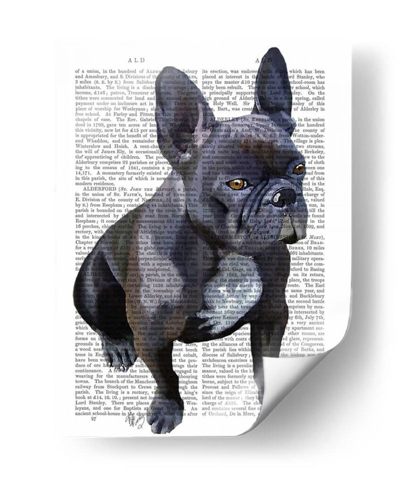 Llanura De Bulldog Francés - Fab Funky | Cuadro decorativo de Canvas Lab