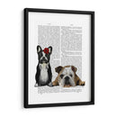 Bulldog Francés E Inglés Bulldog - Fab Funky | Cuadro decorativo de Canvas Lab