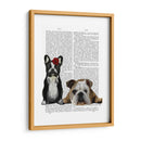 Bulldog Francés E Inglés Bulldog - Fab Funky | Cuadro decorativo de Canvas Lab