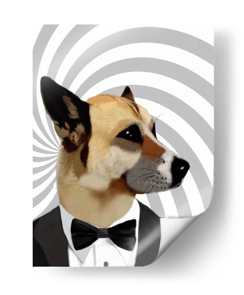 Debasoir James Bond Dog - Fab Funky | Cuadro decorativo de Canvas Lab