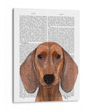 Dachshund Ilustración Llano - Fab Funky | Cuadro decorativo de Canvas Lab