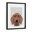 Dachshund Ilustración Llano - Fab Funky | Cuadro decorativo de Canvas Lab