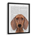 Dachshund Ilustración Llano - Fab Funky | Cuadro decorativo de Canvas Lab