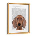 Dachshund Ilustración Llano - Fab Funky | Cuadro decorativo de Canvas Lab
