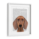 Dachshund Ilustración Llano - Fab Funky | Cuadro decorativo de Canvas Lab
