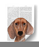 Dachshund Ilustración Llano - Fab Funky | Cuadro decorativo de Canvas Lab