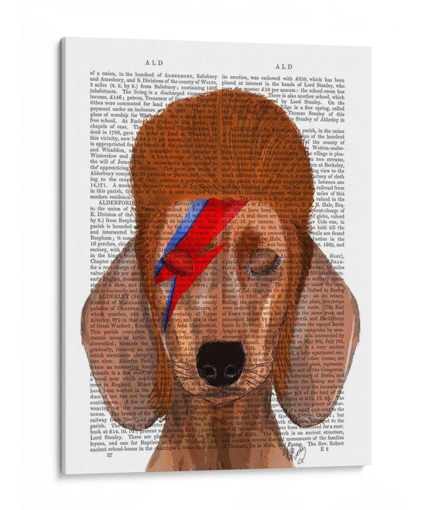 Aladdin Sane Dachshund - Fab Funky | Cuadro decorativo de Canvas Lab