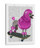 Poderle Rosa Y Monopatín - Fab Funky | Cuadro decorativo de Canvas Lab