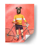 Ciclista De Greyhound - Fab Funky | Cuadro decorativo de Canvas Lab