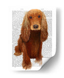 Cocker Spaniel Llany - Fab Funky | Cuadro decorativo de Canvas Lab
