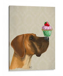 Gran Danés Y Cupcake - Fab Funky | Cuadro decorativo de Canvas Lab