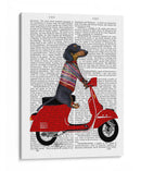 Dachshund En Un Ciclomotor - Fab Funky | Cuadro decorativo de Canvas Lab