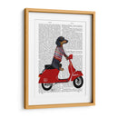 Dachshund En Un Ciclomotor - Fab Funky | Cuadro decorativo de Canvas Lab