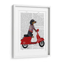 Dachshund En Un Ciclomotor - Fab Funky | Cuadro decorativo de Canvas Lab