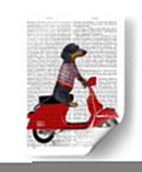 Dachshund En Un Ciclomotor - Fab Funky | Cuadro decorativo de Canvas Lab