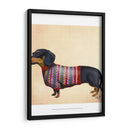 Dachshund Con Suéter Lanudo - Fab Funky | Cuadro decorativo de Canvas Lab