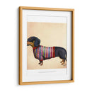 Dachshund Con Suéter Lanudo - Fab Funky | Cuadro decorativo de Canvas Lab