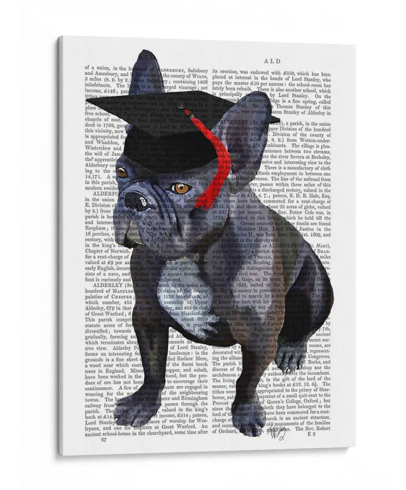 Bulldog Francés De Graduación - Fab Funky | Cuadro decorativo de Canvas Lab