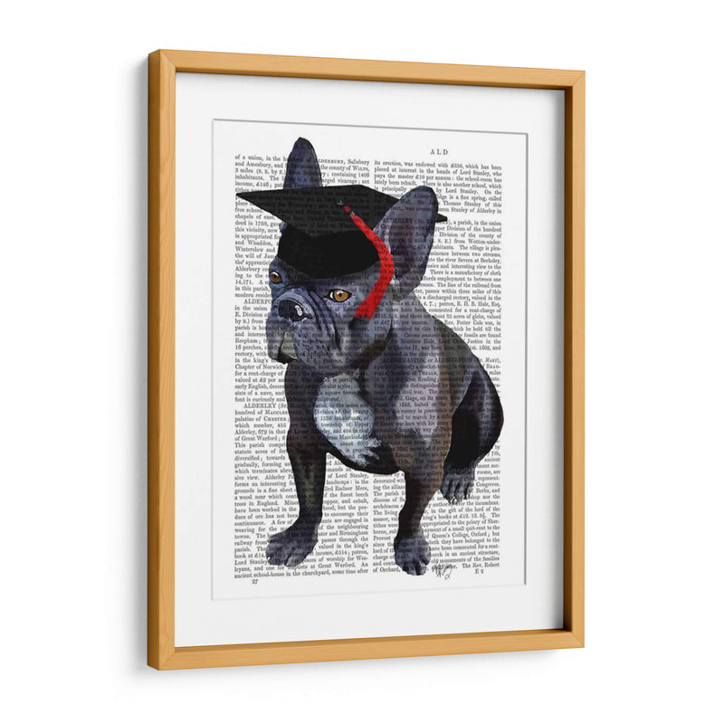 Bulldog Francés De Graduación - Fab Funky | Cuadro decorativo de Canvas Lab