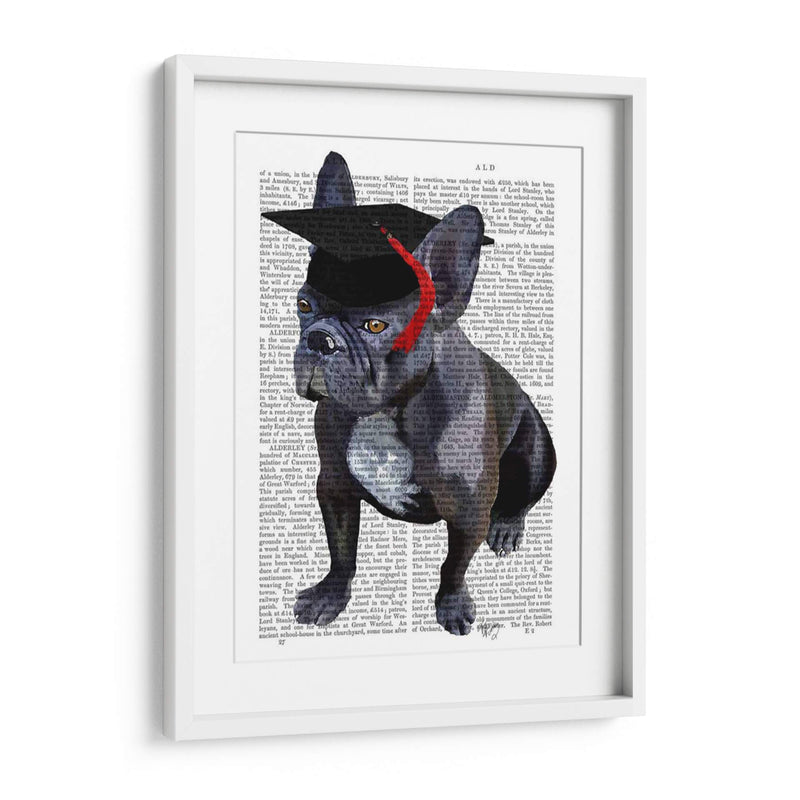 Bulldog Francés De Graduación - Fab Funky | Cuadro decorativo de Canvas Lab