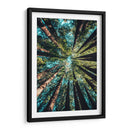 Tan alto como los árboles | Cuadro decorativo de Canvas Lab