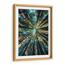 Tan alto como los árboles | Cuadro decorativo de Canvas Lab