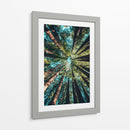 Tan alto como los árboles | Cuadro decorativo de Canvas Lab