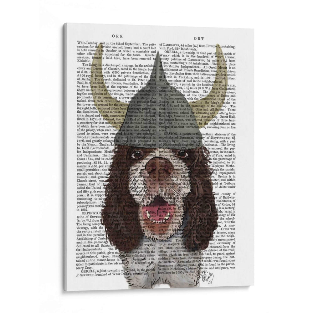 Springer Spaniel Viking - Fab Funky | Cuadro decorativo de Canvas Lab