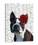 Boston Terrier Con Rose En La Cabeza - Fab Funky | Cuadro decorativo de Canvas Lab