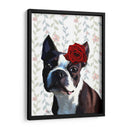 Boston Terrier Con Rose En La Cabeza - Fab Funky | Cuadro decorativo de Canvas Lab
