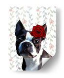 Boston Terrier Con Rose En La Cabeza - Fab Funky | Cuadro decorativo de Canvas Lab