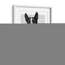 Boston Terrier Con Corbata Roja Y Bigote - Fab Funky | Cuadro decorativo de Canvas Lab