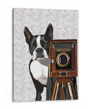 Boston Terrier Fotógrafo - Fab Funky | Cuadro decorativo de Canvas Lab